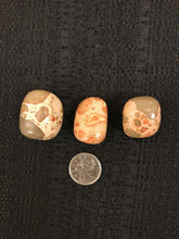 Load image into Gallery viewer, Leopardite Jasper