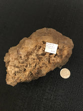 Load image into Gallery viewer, Fluorite Cluster