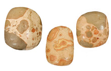 Load image into Gallery viewer, Leopardite Jasper