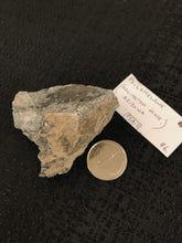 Load image into Gallery viewer, Psilomelane/Merlinite